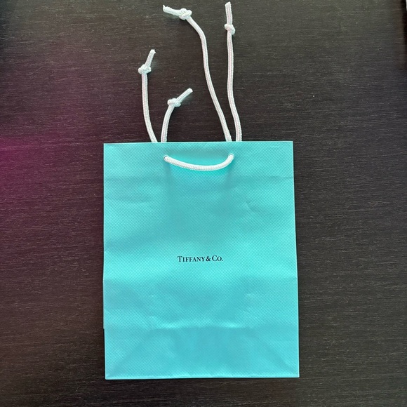 Authentic Tiffany & Co. Turquoise Blue Paper Shopping Bag Gift Bag Brand New - Picture 1 of 4